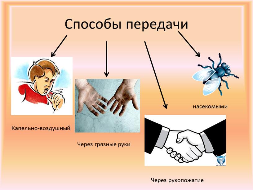 Способы передачи Капельно-воздушный