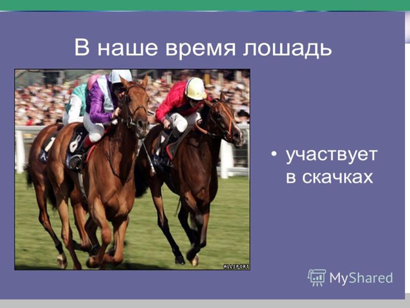 Презентация к уроку окружающего мира "Домашние животные" ФГОС 2 класс