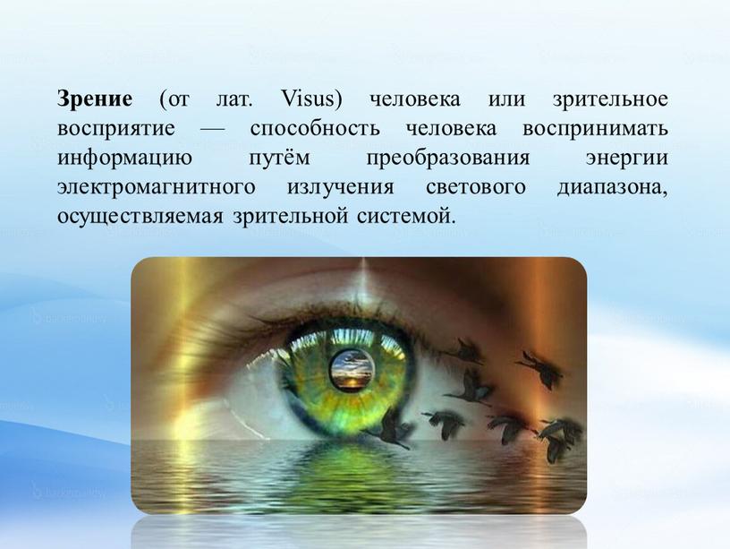 Зрение (от лат. Visus) человека или зрительное восприятие — способность человека воспринимать информацию путём преобразования энергии электромагнитного излучения светового диапазона, осуществляемая зрительной системой