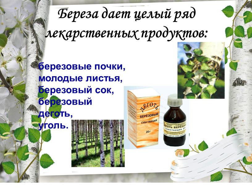 Береза дает целый ряд лекарственных продуктов: березовые почки, молодые листья, березовый сок, березовый деготь, уголь
