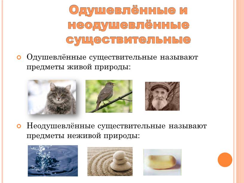 Одушевлённые и неодушевлённые существительные