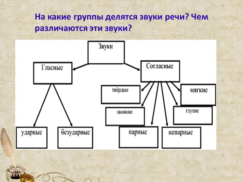 На какие группы делятся звуки речи?