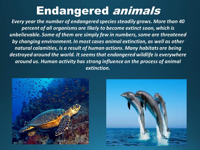 Endangered animals Every year the number of endangered species steadily grows