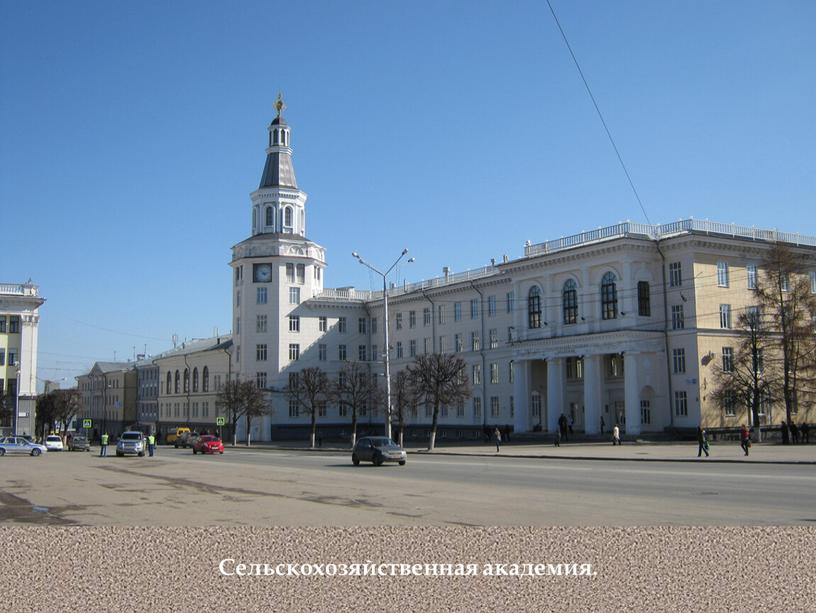 Сельскохозяйственная академия.