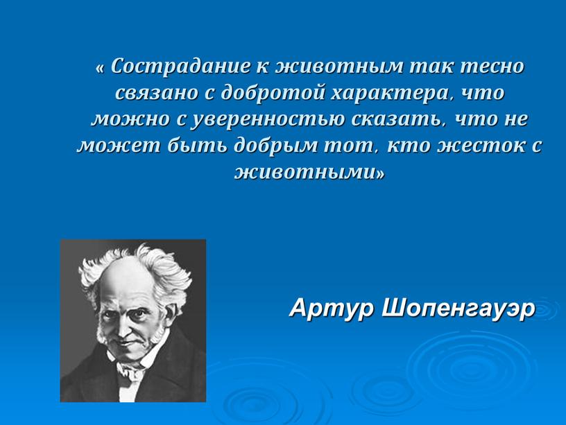 Сострадание к животным так тесно связано с добротой характера, что можно с уверенностью сказать, что не может быть добрым тот, кто жесток с животными»