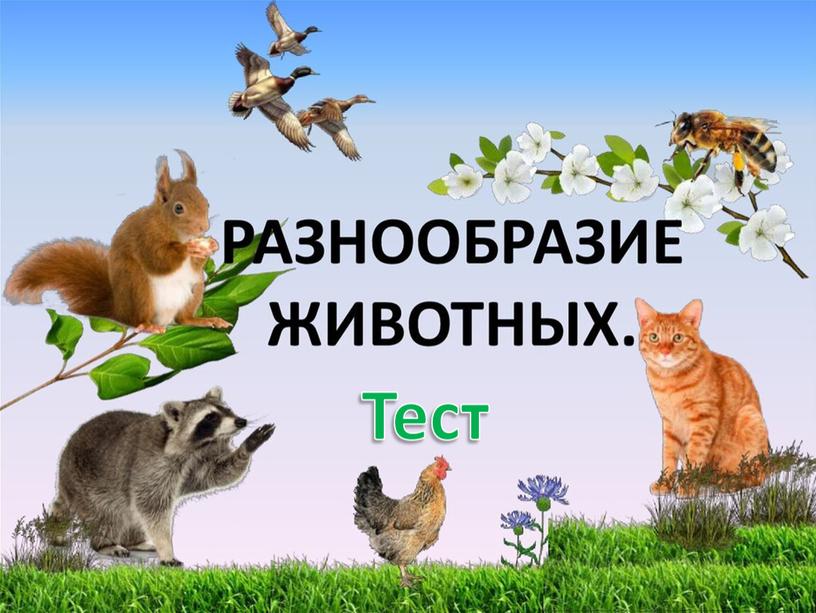 Тест