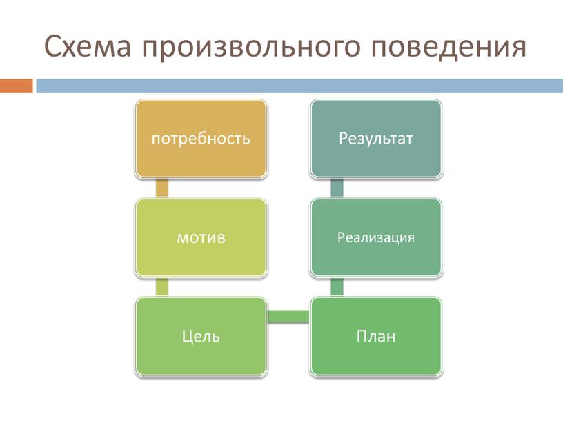 Схема произвольного поведения