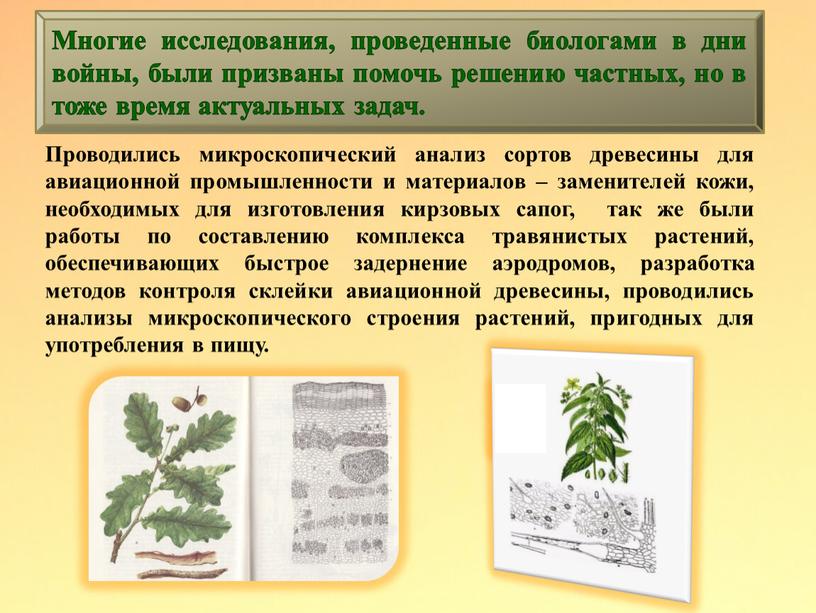 Многие исследования, проведенные биологами в дни войны, были призваны помочь решению частных, но в тоже время актуальных задач