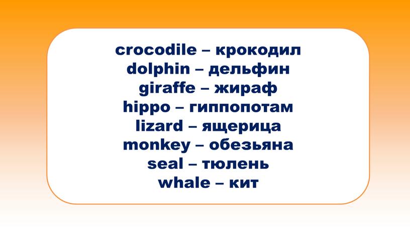 crocodile – крокодил dolphin – дельфин giraffe – жираф hippo – гиппопотам lizard – ящерица monkey – обезьяна seal – тюлень whale – кит