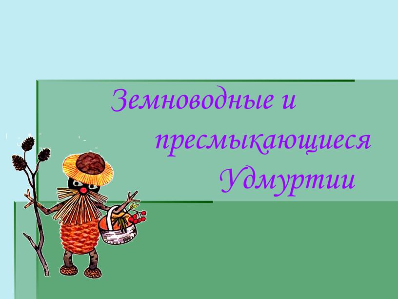 Земноводные и пресмыкающиеся