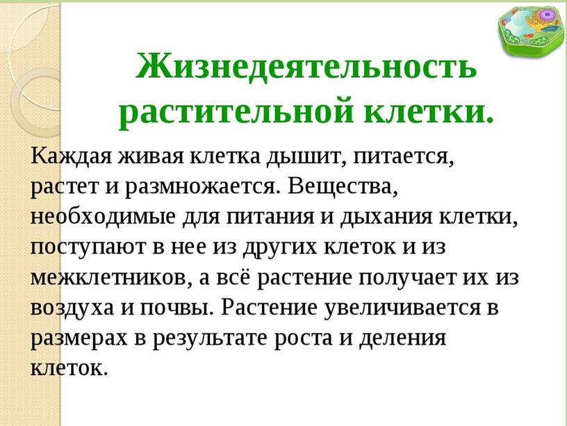 Жизнедеятельность клетки