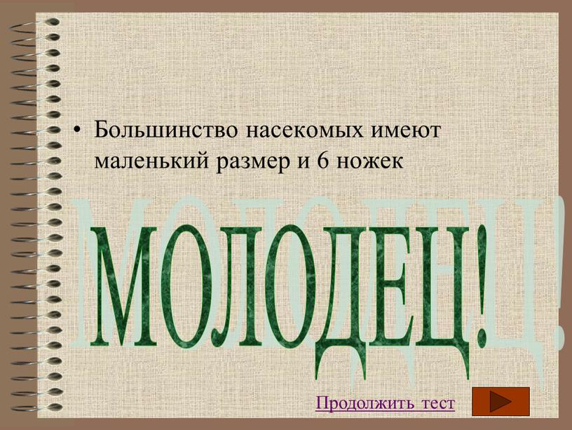 Большинство насекомых имеют маленький размер и 6 ножек