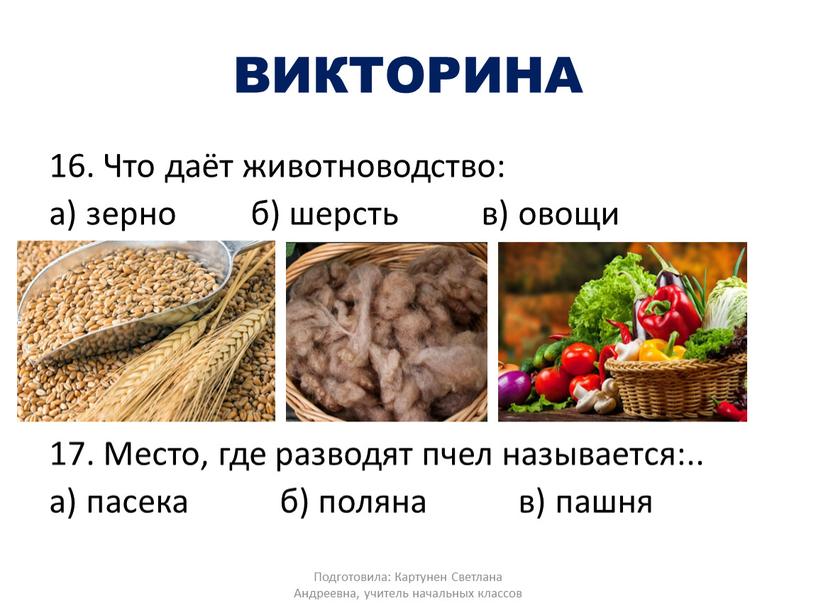 ВИКТОРИНА 16. Что даёт животноводство: а) зерно б) шерсть в) овощи 17