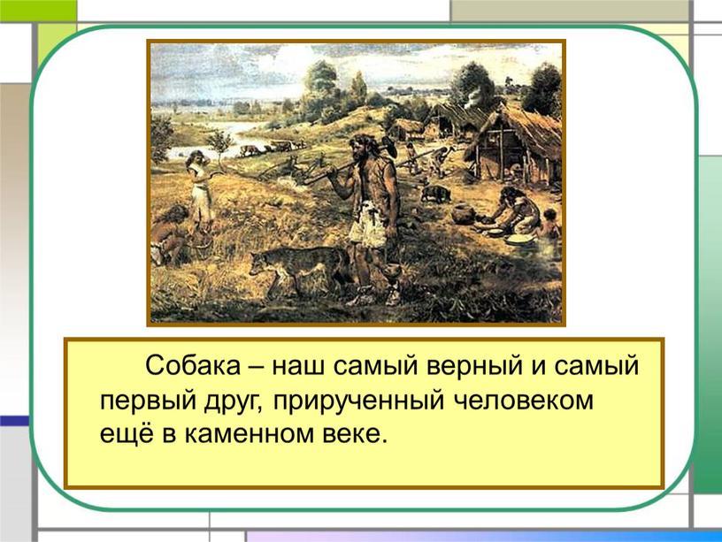 Собака – наш самый верный и самый первый друг, прирученный человеком ещё в каменном веке