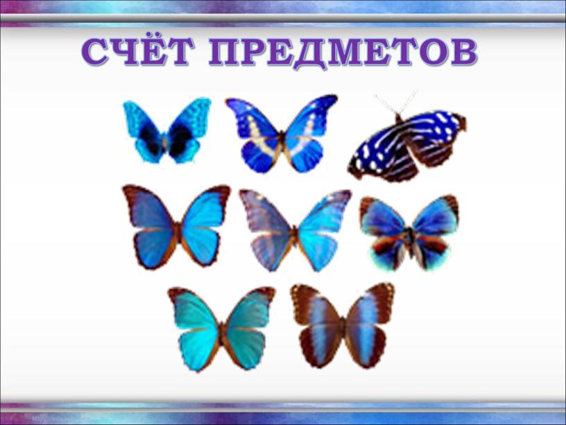 СЧЁТ ПРЕДМЕТОВ