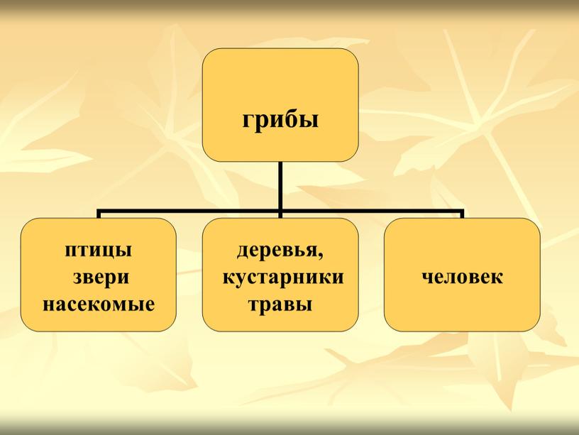 Урок окружающего мира "Грибная полянка" 2 класс