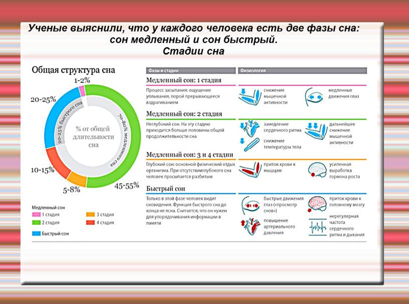 Ученые выяснили, что у каждого человека есть две фазы сна: сон медленный и сон быстрый