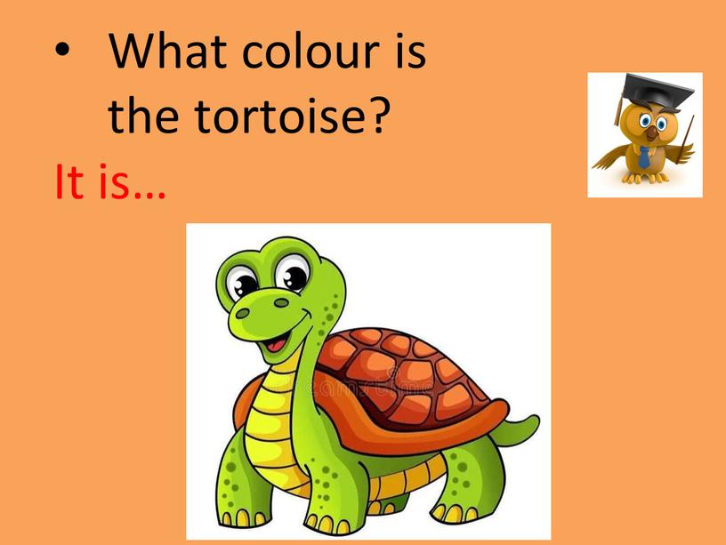 What colour is the tortoise? It is…