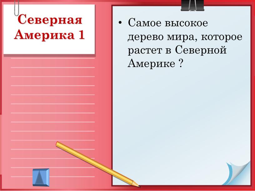 Северная Америка 1 Самое высокое дерево мира, которое растет в