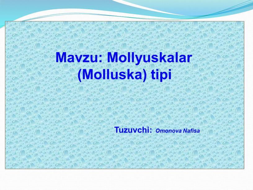 Mavzu: Mollyuskalar (Molluska) tipi