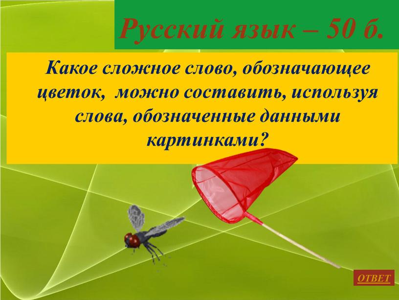 Русский язык – 50 б. ОТВЕТ Какое сложное слово, обозначающее цветок, можно составить, используя слова, обозначенные данными картинками?