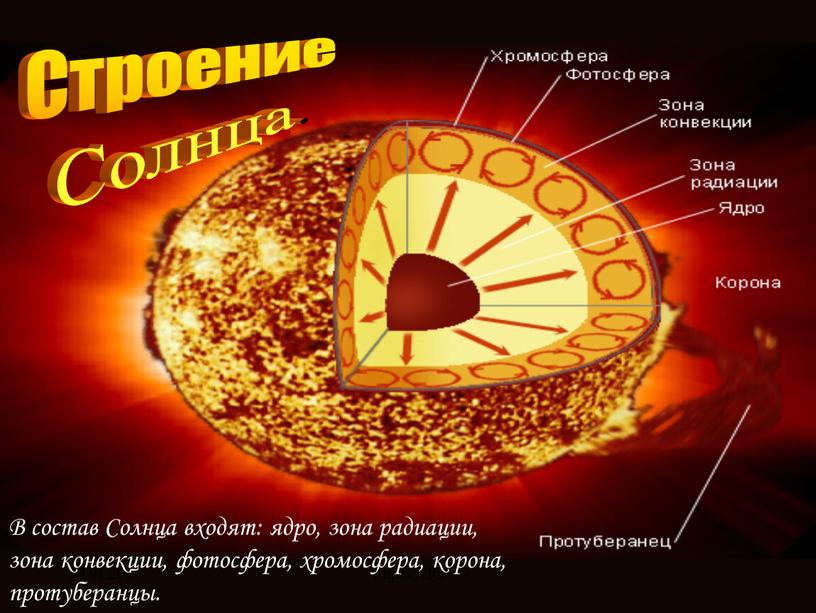 Бирск, ЦО В состав Солнца входят: ядро, зона радиации, зона конвекции, фотосфера, хромосфера, корона, протуберанцы