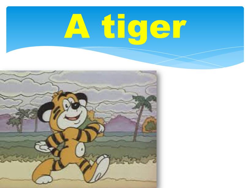 A tiger