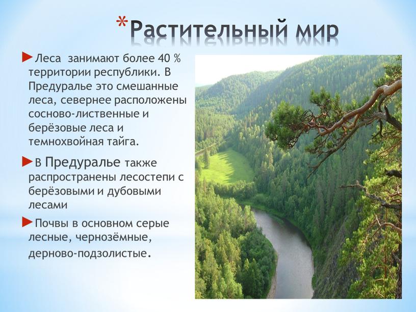 Растительный мир Леса занимают более 40 % территории республики