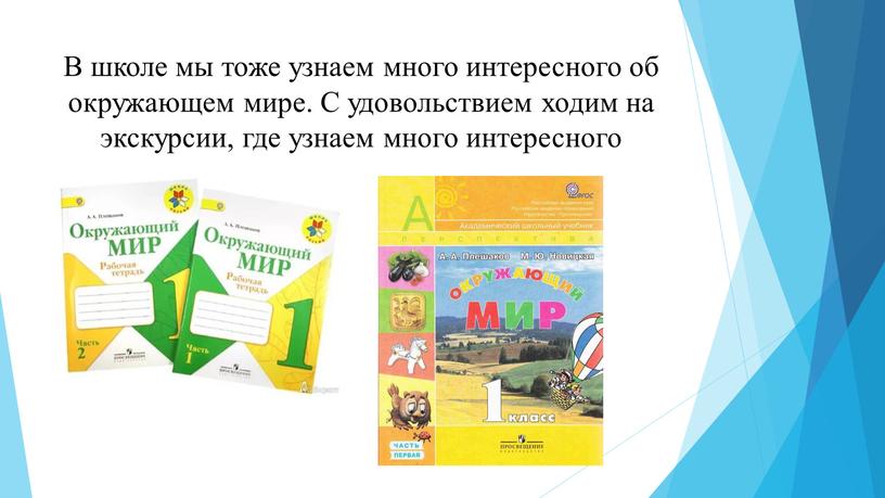 В школе мы тоже узнаем много интересного об окружающем мире