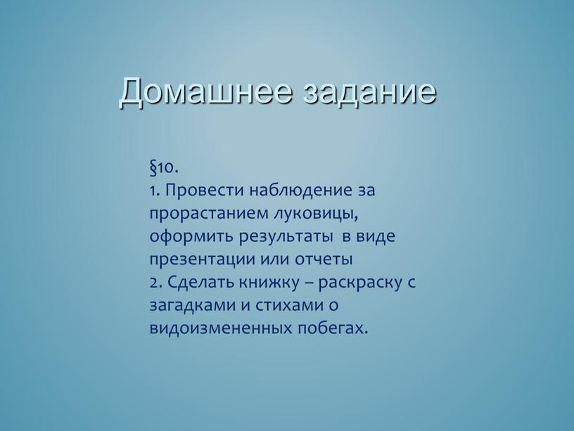 Провести наблюдение за прорастанием луковицы, оформить результаты в виде презентации или отчеты 2