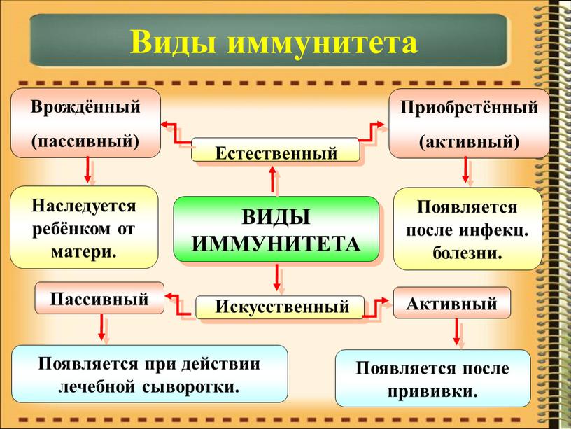 ВИДЫ ИММУНИТЕТА Естественный Искусственный