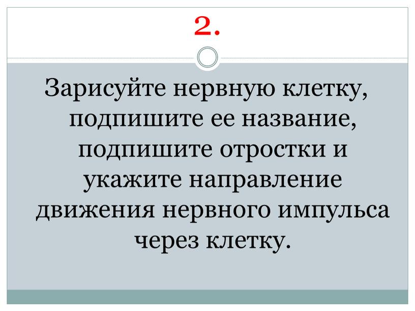 Зарисуйте нервную клетку, подпишите ее название, подпишите отростки и укажите направление движения нервного импульса через клетку