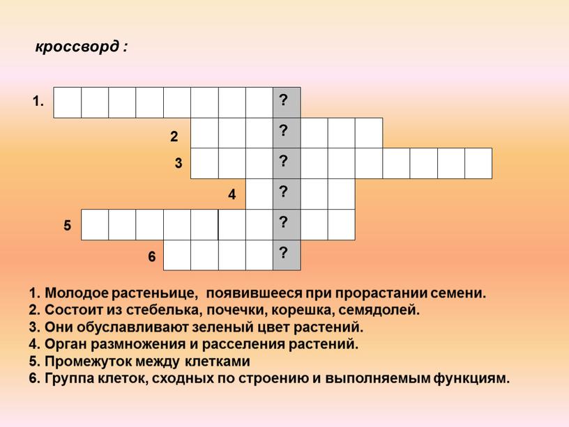 Молодое растеньице, появившееся при прорастании семени