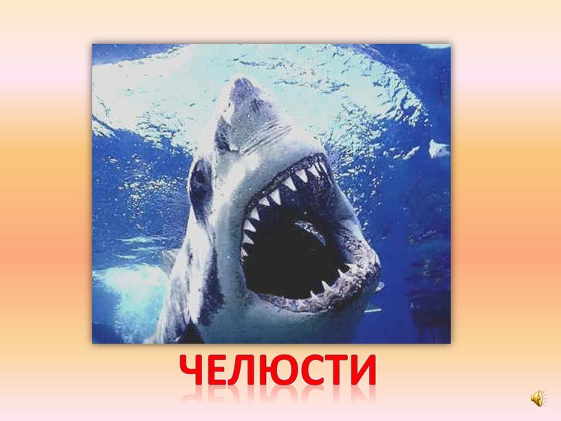 челюсти