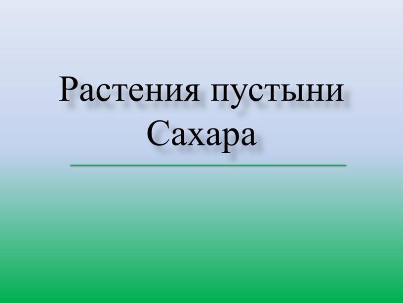 Растения пустыни Сахара