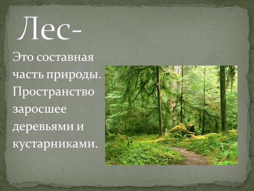 Это составная часть природы. Пространство заросшее деревьями и кустарниками