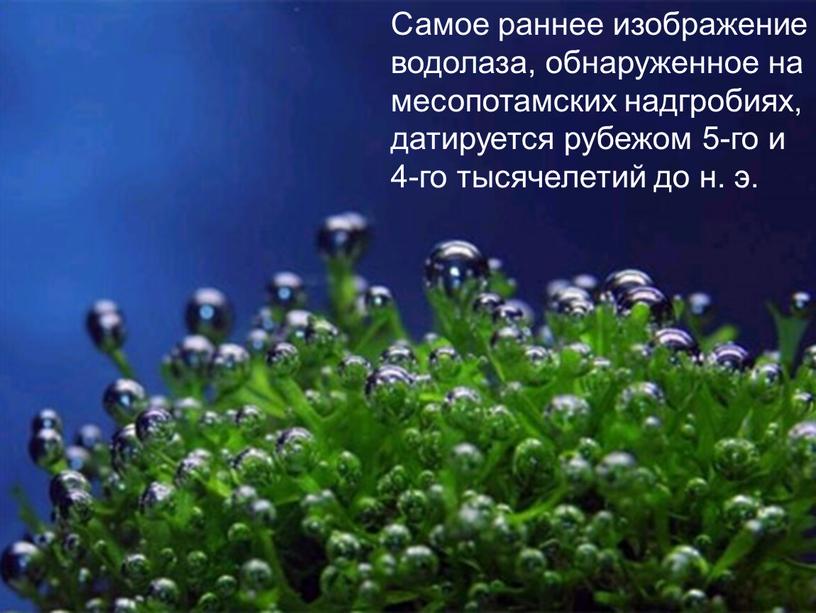 Самое раннее изображение водолаза, обнаруженное на месопотамских надгробиях, датируется рубежом 5-го и 4-го тысячелетий до н