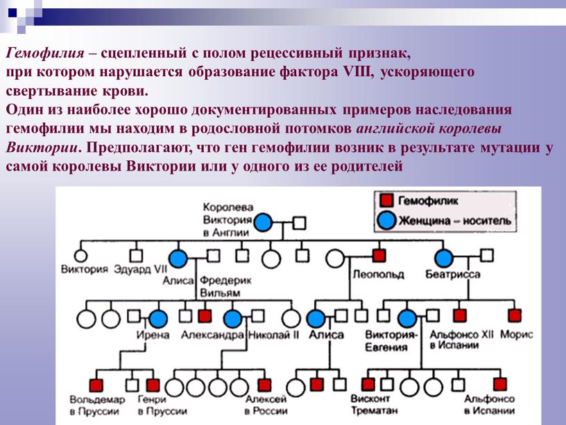 Рецессивный цвет глаз