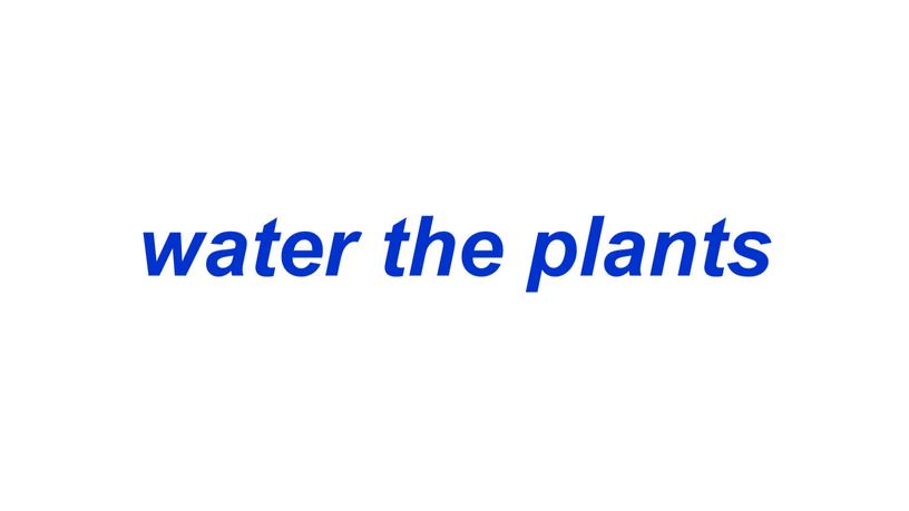 water the plants