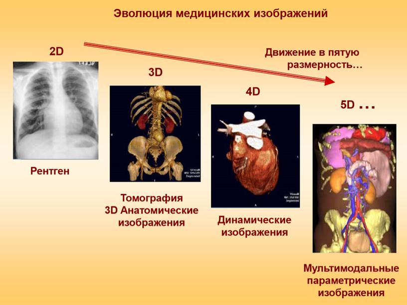 Презентация учебно-исследовательского проекта "Информационные технологии в медицине"