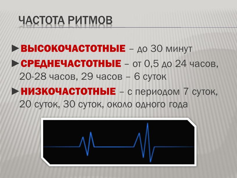 Ритмы человека проект