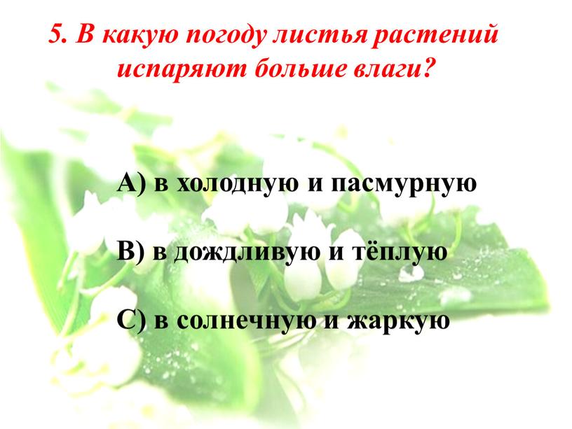 В какую погоду листья растений испаряют больше влаги?