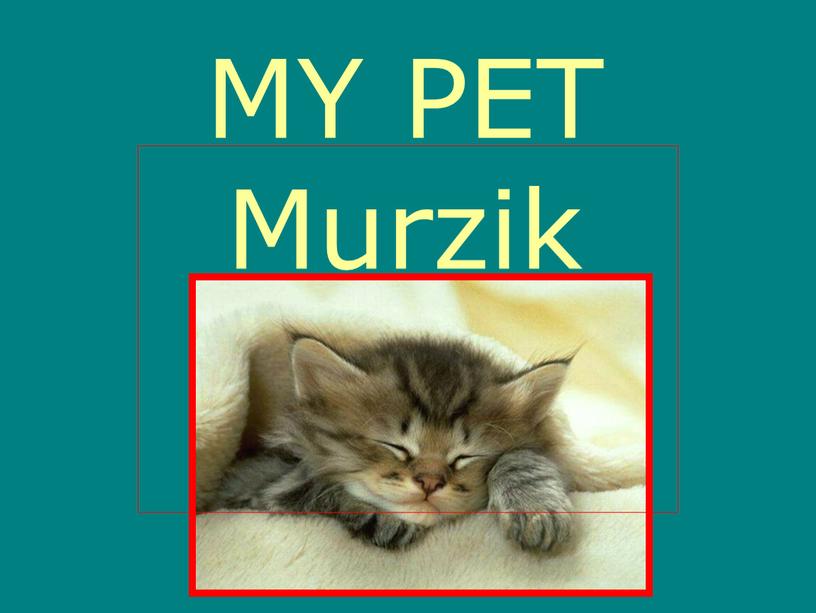 MY PET Murzik