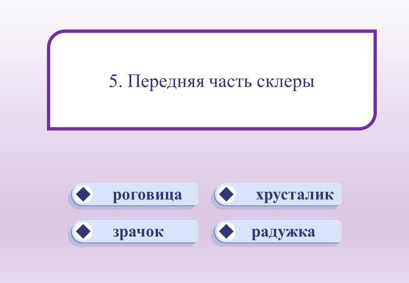 роговица хрусталик радужка зрачок 5. Передняя часть склеры