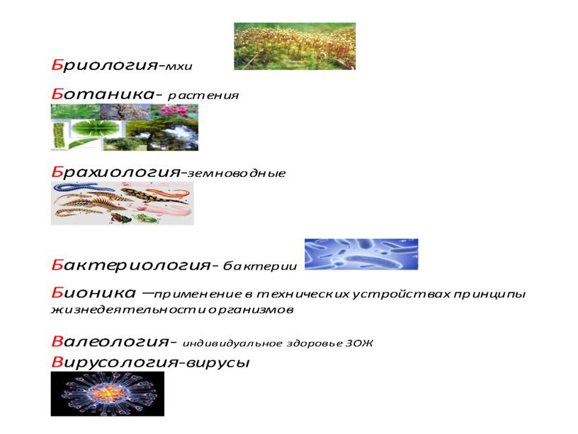 Семья биологических наук.