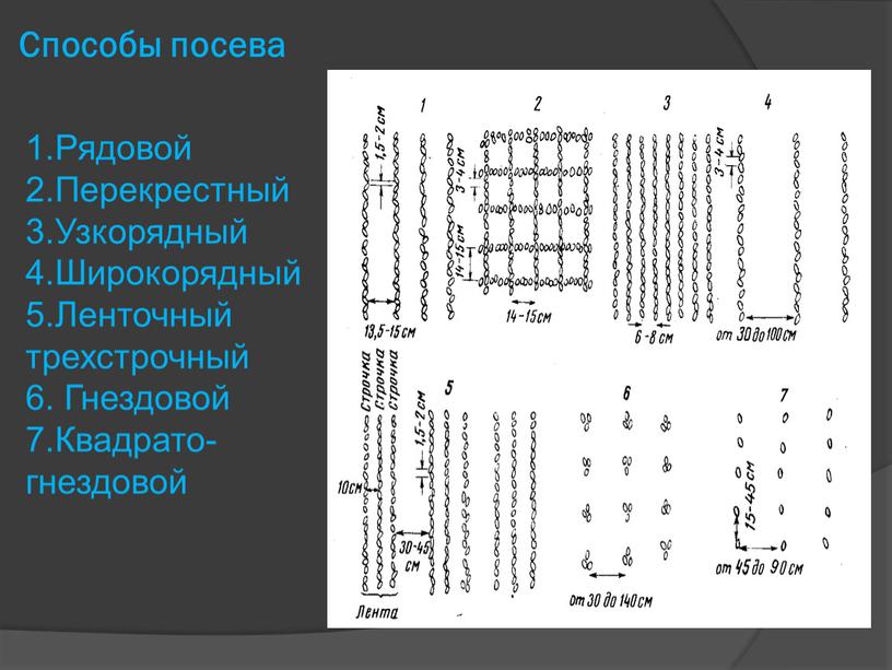 Способы посева 1.Рядовой 2.Перекрестный 3