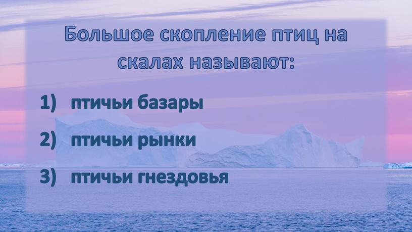 Большое скопление птиц на скалах называют: птичьи базары птичьи рынки птичьи гнездовья