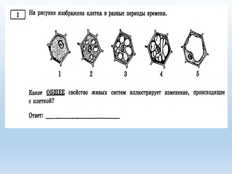 Разбор заданий №1 ОГЭ биология из сборника В.С.Рохлова