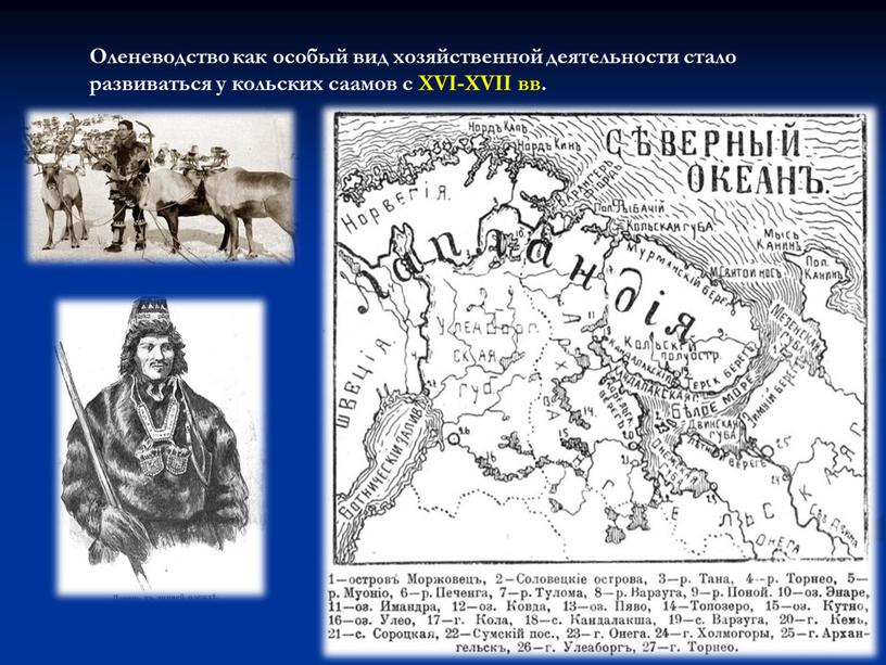 Оленеводство как особый вид хозяйственной деятельности стало развиваться у кольских саамов с