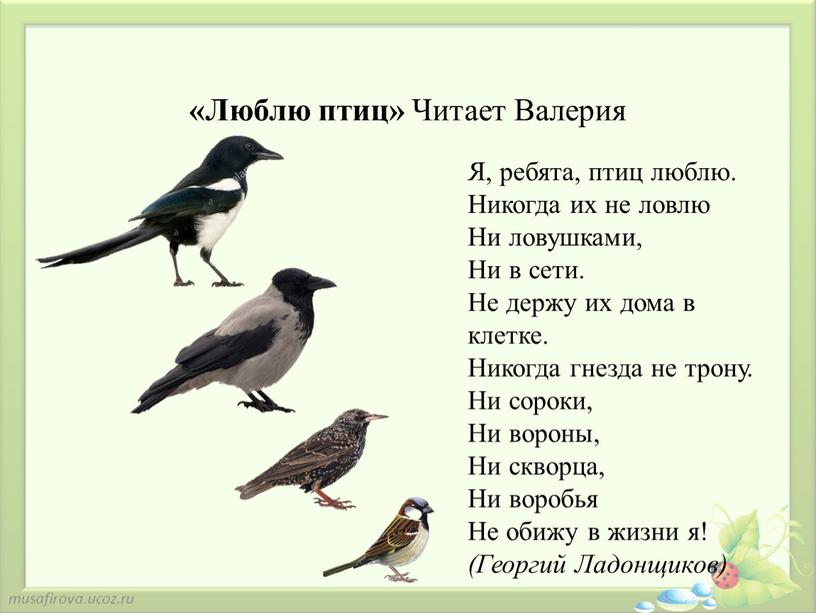 Люблю птиц» Читает Валерия Я, ребята, птиц люблю